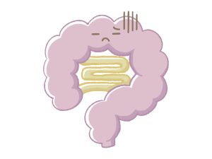 腸　不調　便秘